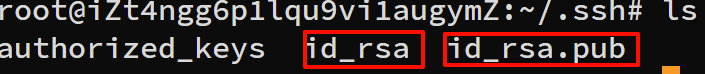 image-20241031135056850